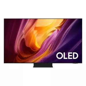 Samsung televizor QE55S95HFTXXH-1