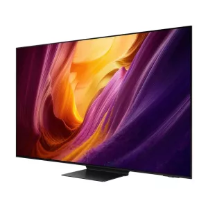 Samsung televizor QE55S95HFTXXH-2