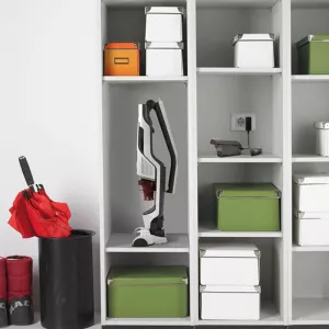 Usisivač štapni Gorenje SVC216GFW