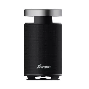 Zvučnik Bluetooth Xwave B TWS/50W/100W