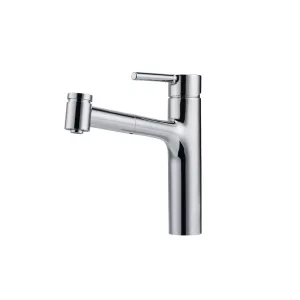 Franke slavina Centro Doccia Plus 115.0600.131