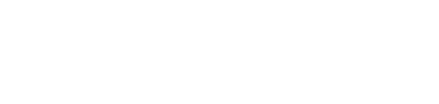 Inelektronik