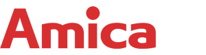 Amica ugradna ploča VG6021