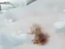 Opcija uklanjanja fleka